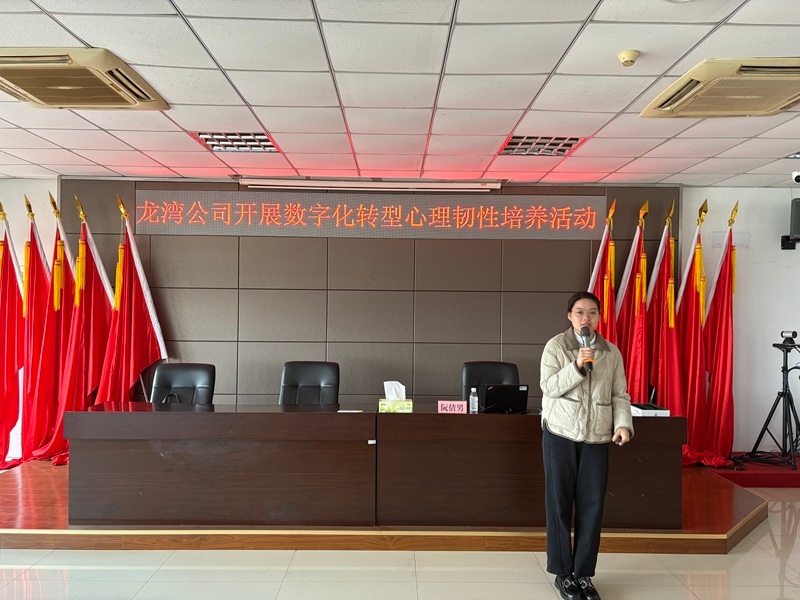 龙湾公司开展数字化转型心理韧性培养活动