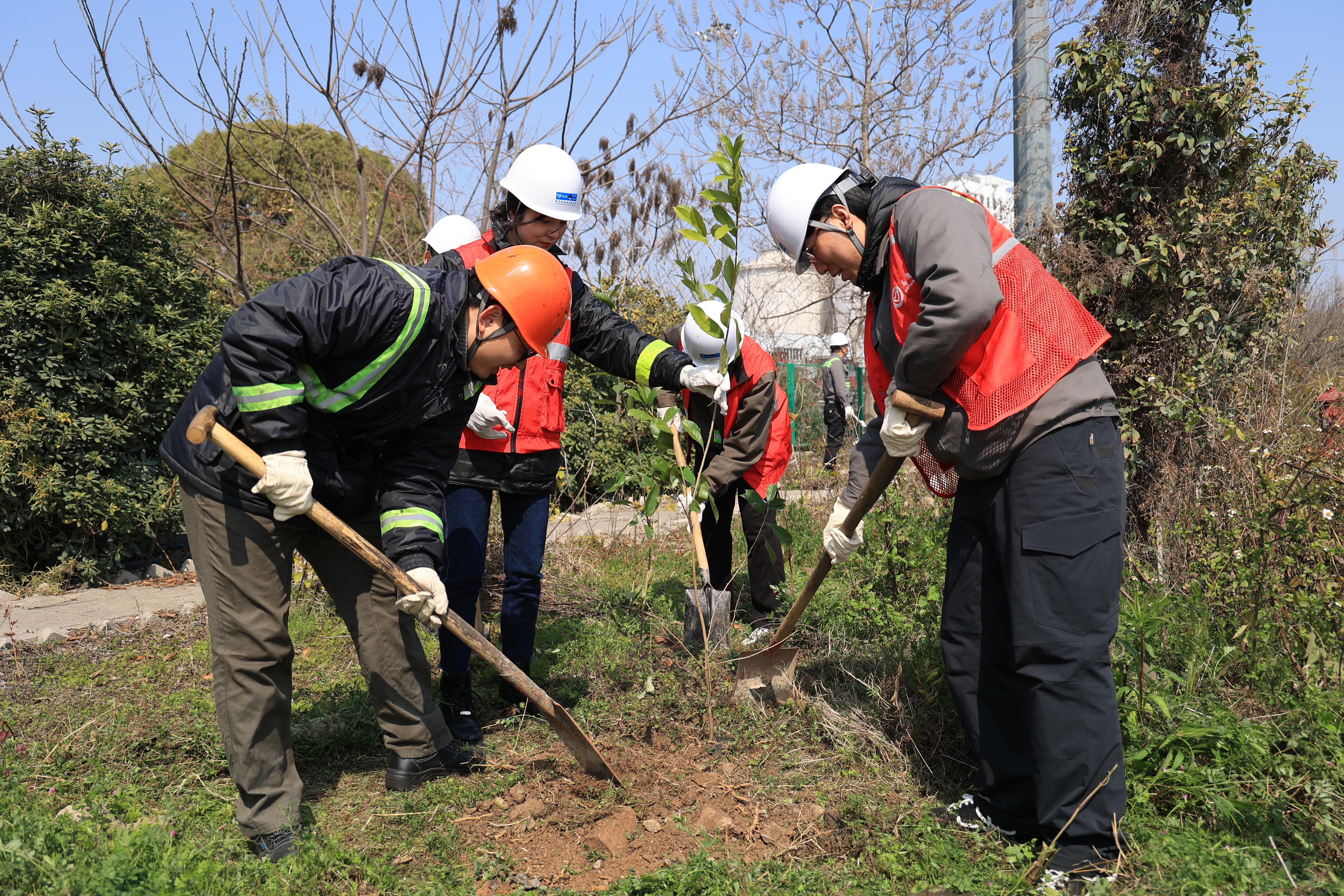 春风添新绿 美化焕新颜 —— 公司志愿者开展港区春季绿化美化志愿行动