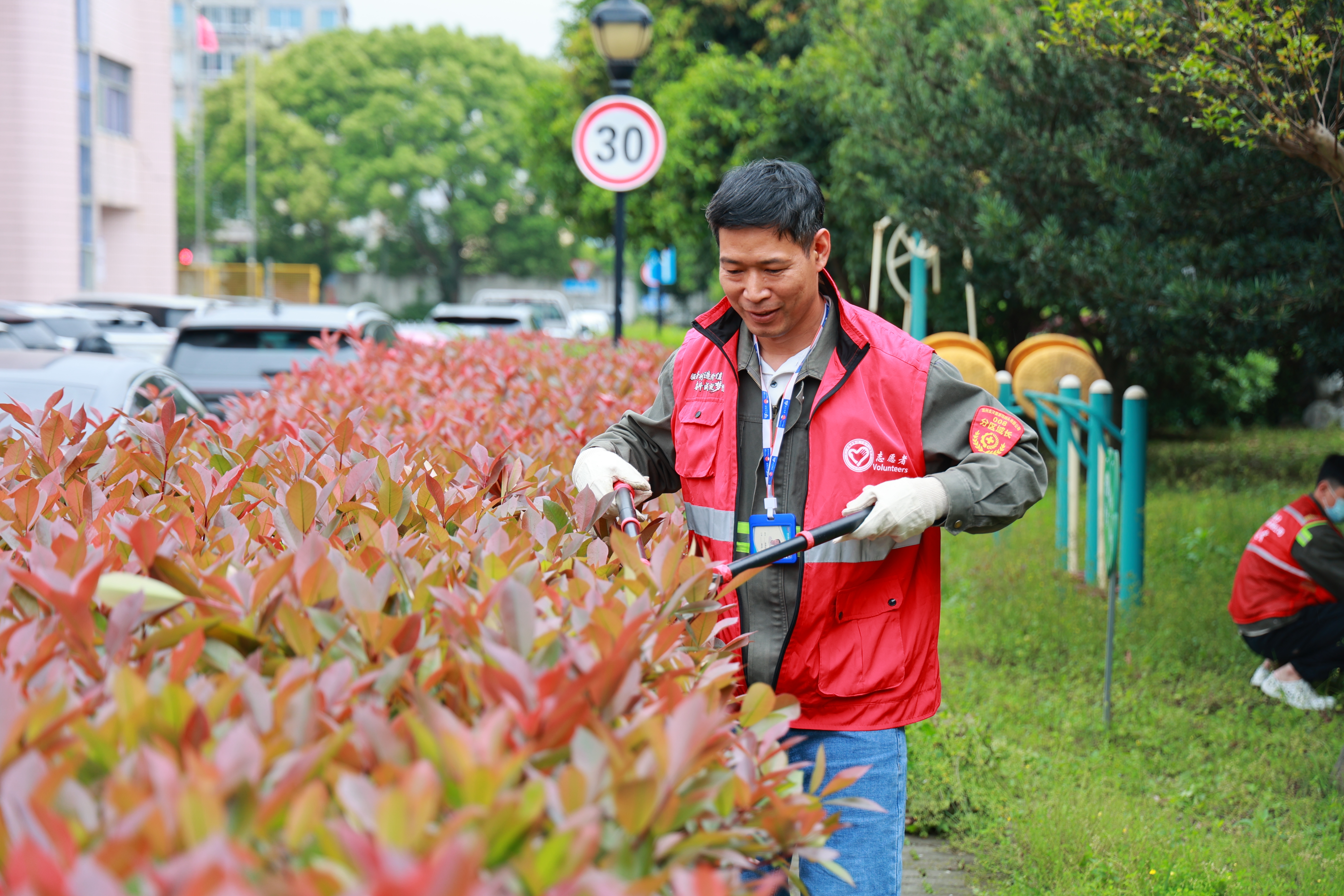 金洋公司开展爱国卫生月志愿服务 助力文明港区建设